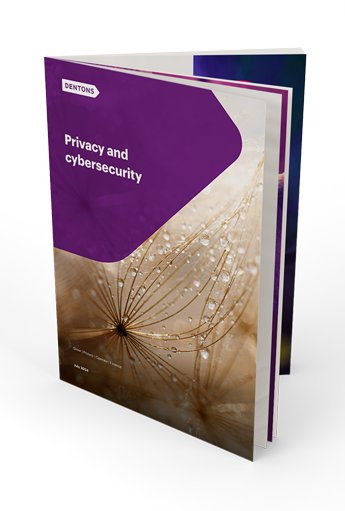 Dentons in NZ Privacy and Cybersecurity brochure